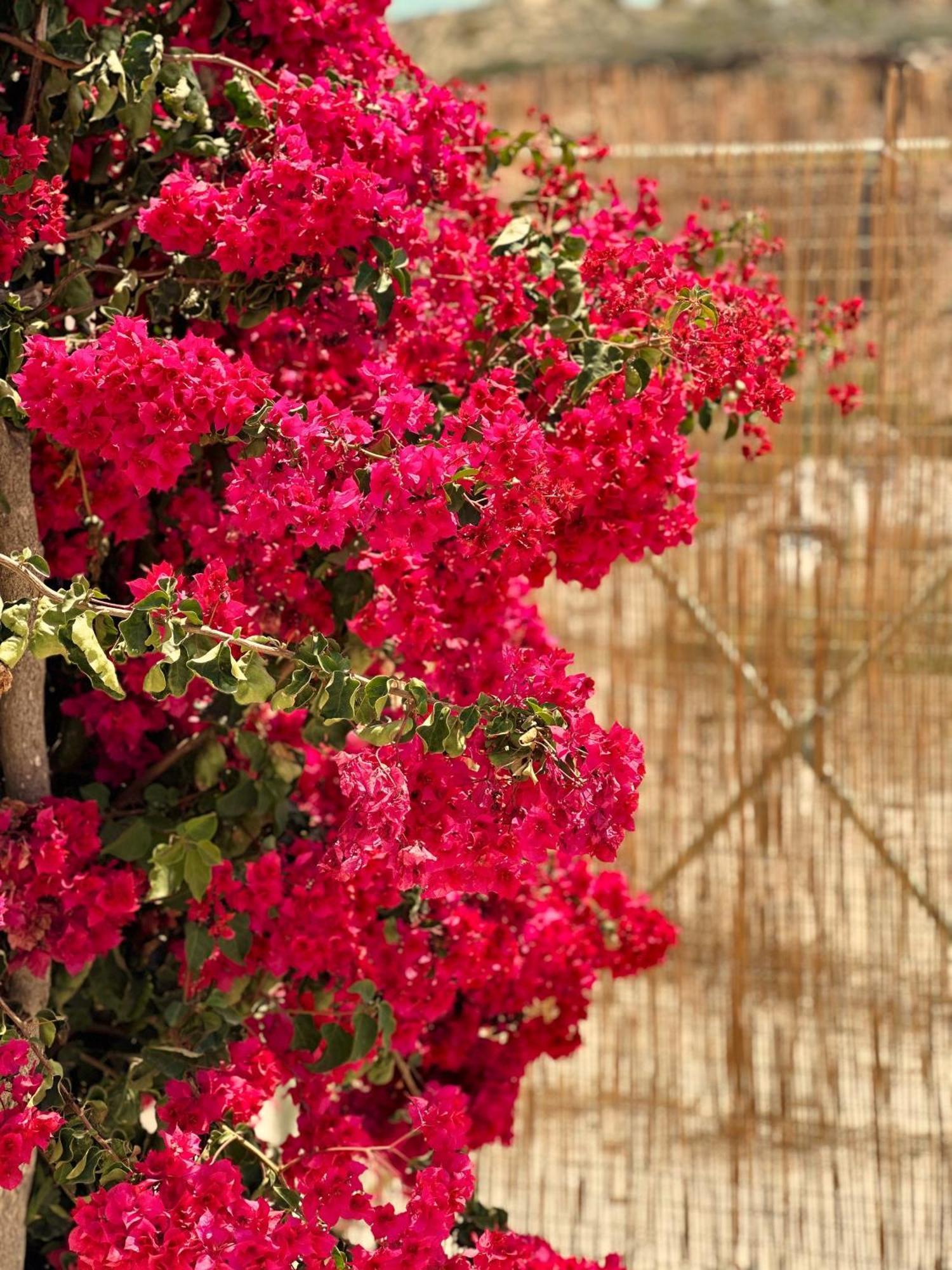 Errika'S Sweet Home Provatas Esterno foto